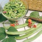 Runner Bean 'Polestar' Kings's Vegetable Seeds