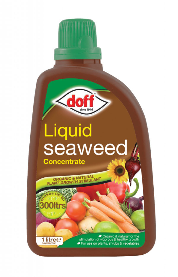Doff 1 Litre Liquid Seaweed Concentrate - Makes upto 300 Litres - Organic