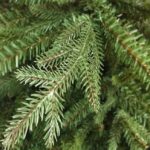 New 7.5ft Hemlock Artificial Christmas Tree PE & PVC Mixed Realistic Pine