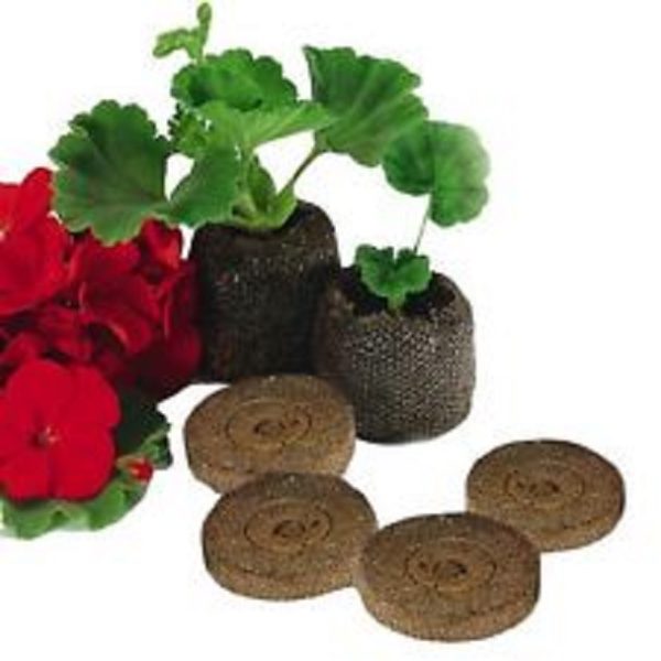 Pack 40 Doff CoCo Coir Plug Pellets For Growing Plug Plants