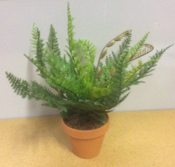 New Small Ladder / Leather Fern Bush Artificial Synthetic Pot Plant 20cm