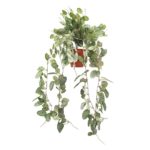 New Artificial Trailing Ivy Bush 'Potted' Fittonia Ivy 60cm Trails