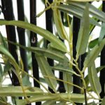 New 6ft Slim Black Stem Bamboo Artificial Bush / Houseplant