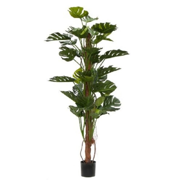New Design Artificial Split Philodendron (Cheese Plant) Tree 5ft Houseplant