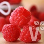 Pack x3 Rubus Idaeus Early Raspberry 'Cascade Delight' LARGE Plug Plants