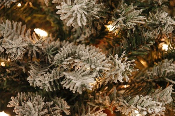 New 6ft Pre-Lit (300 W/White LED's) Frosted Douglas Pine PE/PVC Christmas Tree