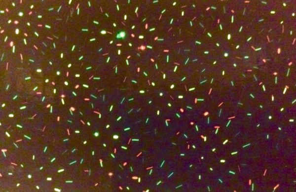Premier Decorations Single Pattern 13cm Laser Light Display LV151035