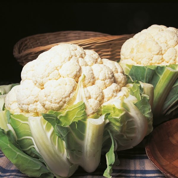 Pack Vegetable Seed Cauliflower 'Autumn Giant' King's Seeds