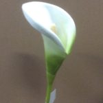 Pack 24 Stems White/ Ivory Small Foam Calla Lily Artificial Flowers 63cm