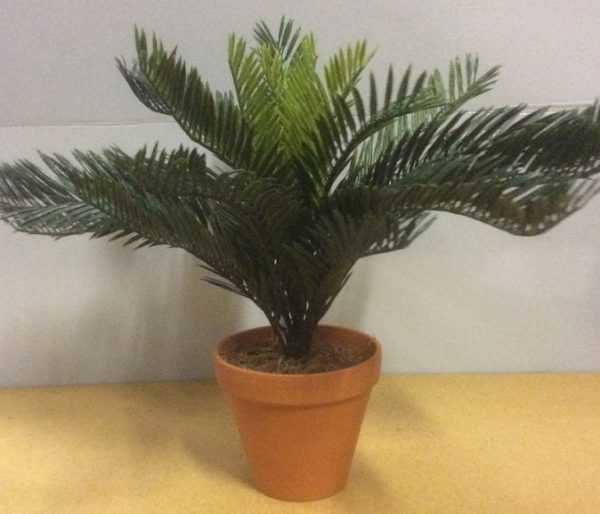 New Design Cycus Fern Bush Artificial Synthetic Pot Plant 30cm