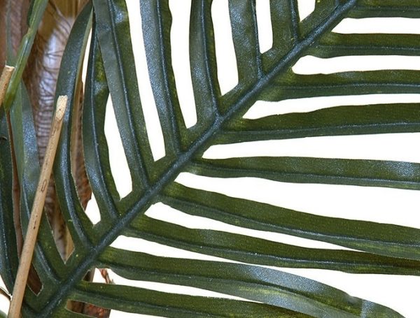 New Natural Stem Artificial Kenya Palm Tree 6ft Green Houseplant