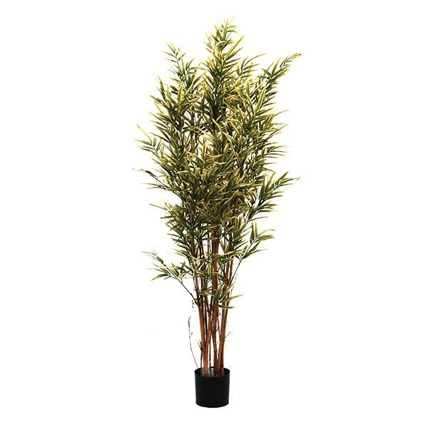 Natural Stem Artificial Royal Variegated Bamboo 4ft Green Houseplant / Bush