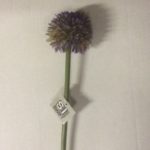 Pack x12 Stems Purple Allium Bloom 54cm Artificial Flowers!
