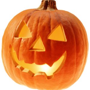 Gourd / Pumpkin 'Jack O Lantern' King's Quality Pack Vegetable Seeds
