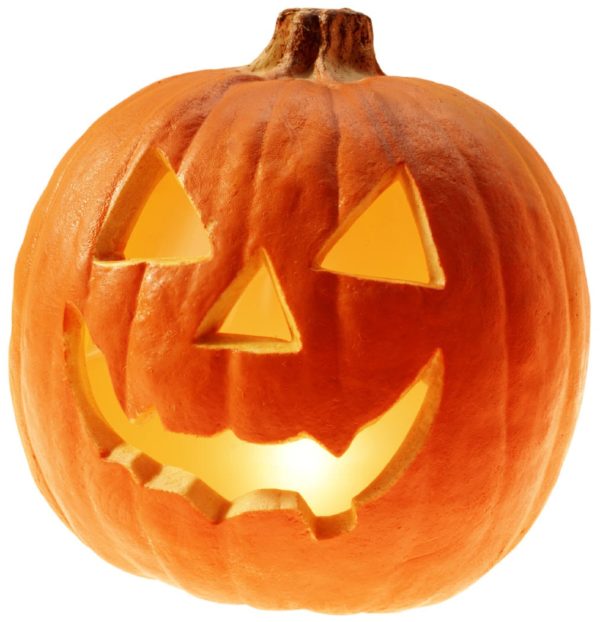 Gourd / Pumpkin 'Jack O Lantern' King's Quality Pack Vegetable Seeds