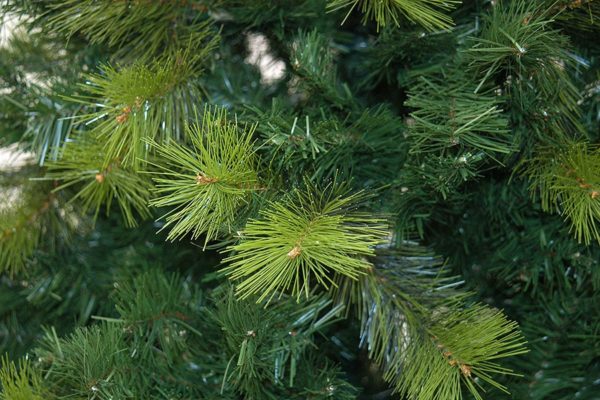 7ft Eldora Hardneedle Artificial Christmas Tree Green Spruce PE/PVC