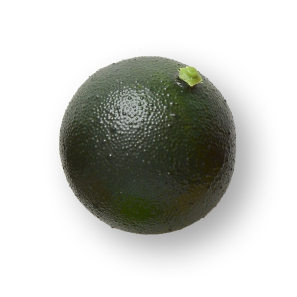 Artificial Fruit 60mm 'Green Lime' Home Decoration Pack x2