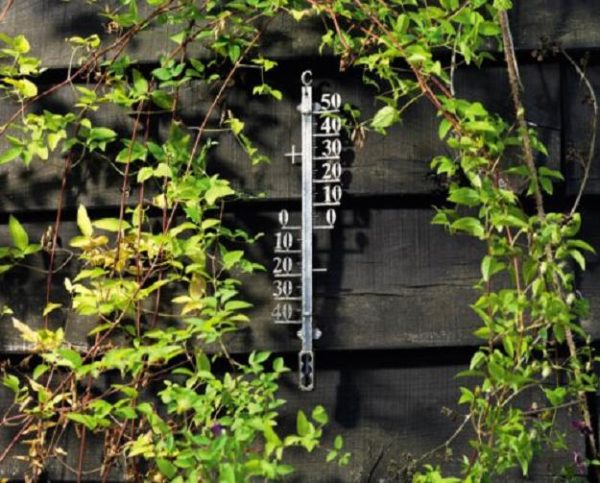 Pewter Finish 41.5cm Outdoor Garden Thermometer Ornament Gardman