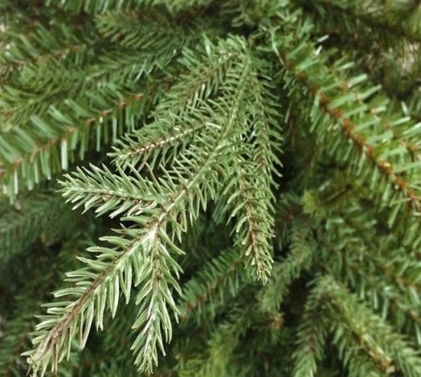 6.5ft Hemlock Artificial Christmas Tree PE & PVC Mixed Realistic Pine