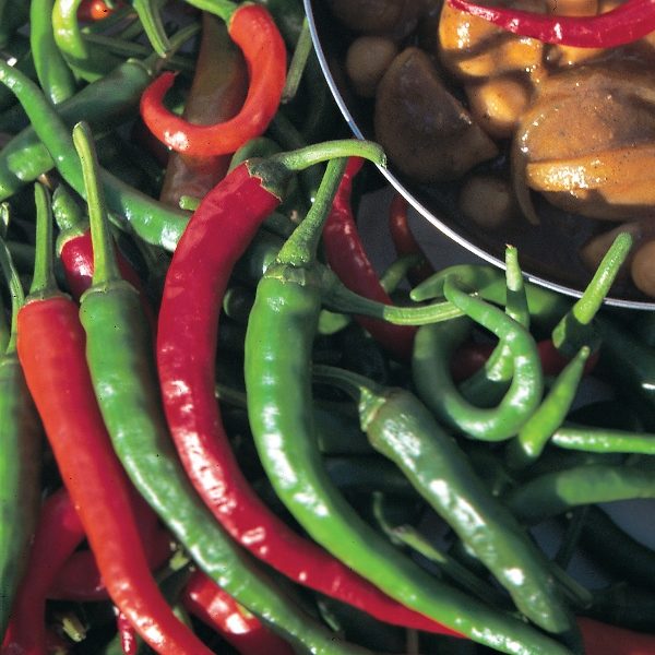 Pepper (Chilli Pepper) 'Long Slim' Pack Kings Vegetable Seeds