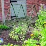 Pea & Bean Netting - 4m x 1.7m Garden Climbing Support Mesh Gardman