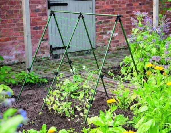 Pea & Bean Netting - 4m x 1.7m Garden Climbing Support Mesh Gardman