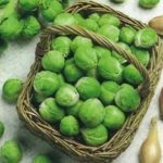 Brussels Sprout 'Fillbasket' Pack Kings Quality Vegetable Seeds