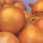 Onion 'Bedfordshire Champion' Pack Vegetable Seeds King's