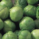 Brussels Sprout 'Fillbasket' Pack Kings Quality Vegetable Seeds