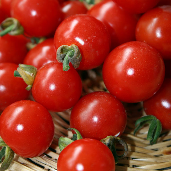 Tomato 'Sweet Aperitif' Pack Kings Vegetable Garden Seeds