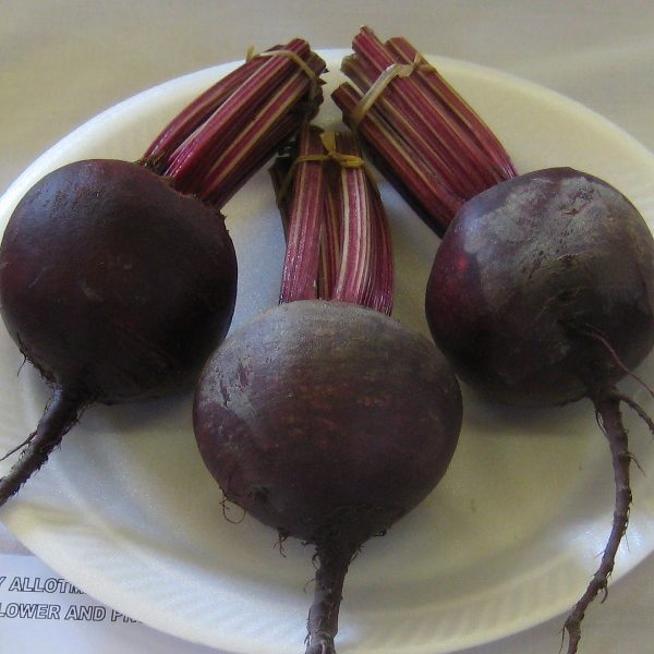Beetroot 'Red Ace F1' Pack Vegetable Seed Kings's