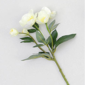 Helleborus 'Christmas Rose' Bunch/Bouquet Silk Flower Cream 31cm