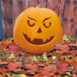 Pumpkin 'Hundredweight' King's Quality Pack Vegetable Seeds
