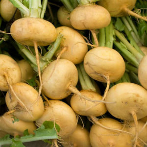 Turnip 'Golden Ball' Pack Kings Quality Vegetable Seeds