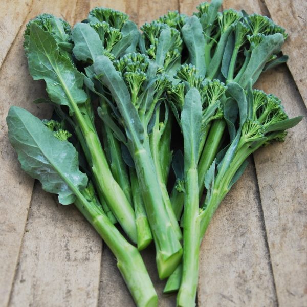 Brokali 'Atlantis F1' ( Broccoli ) Pack Kings Vegetable Seeds