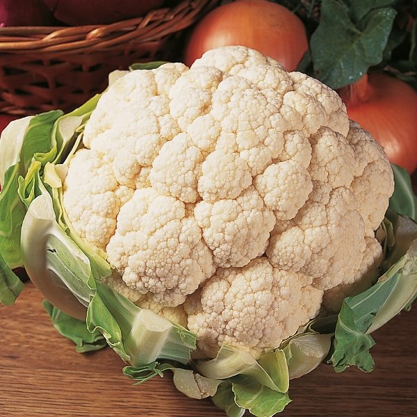 Cauliflower Aalsmeer (Award of Merit) Pack Kings Seeds