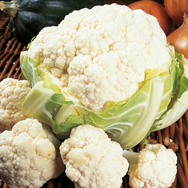 Cauliflower 'Candid Charm F1' Pack Kings Garden Seed