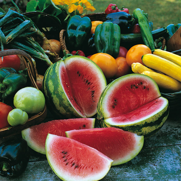 Water Melon 'Sugar Baby' Pack King's Seeds