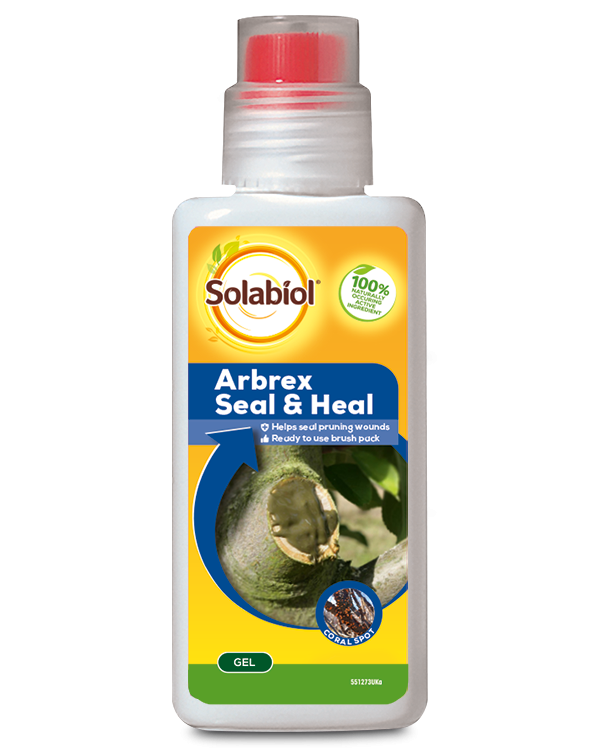 Arbrex Seal & Heal 300g Garden Fruit Tree Protection Solabiol