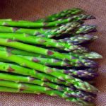 Asparagus Officinalis 'Connover's Colossal' XXL Supersize Plug Plants Pack x3