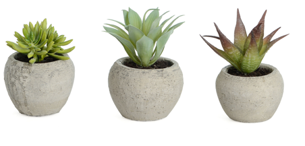 Succulent In Pot Set x3 Artificial Pot Plants