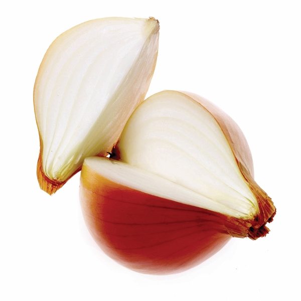 Onion 'Santero F1' Kings Quality Pack Vegetable Seeds