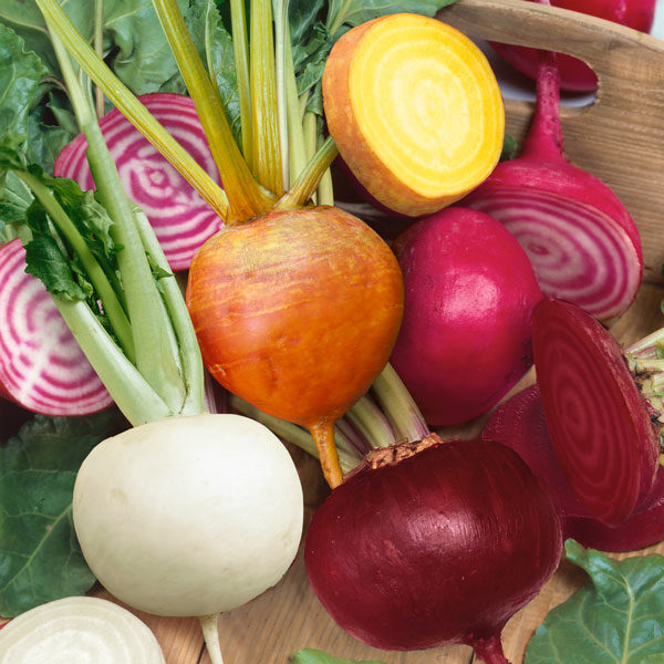 Beetroot Mixed Kings's Pack Vegetable Seed