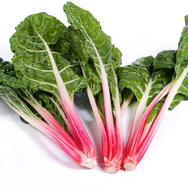 Beet Rhubarb Chard Peppermint King's Vegetable Seed