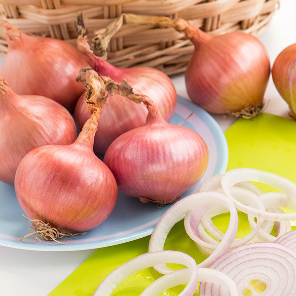 Onion Isobel Rose Quality Kings Seeds Vegetable Packs