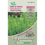 Bells Of Ireland Garden Molucella Laevis Quality Kings Flower Seeds