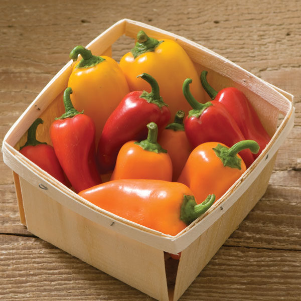Sweet Pepper 'Lunch Box Snackbite Mix' King's Seeds Pack Vegetable