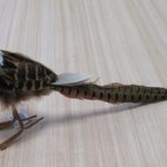 Natural Effect 38cm Long Tail Pheasant Bird Decoration YMB18100 x2