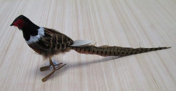Natural Effect 38cm Long Tail Pheasant Bird Decoration YMB18100 x2