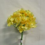 6 x Large Chincherinchee Ornithogalum Yellow Artificial Silk Flowers RRP 7.99 (Per Stem) Pack x6 Stems